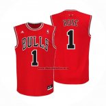 Camisetas Chicago Bulls Derrick Rose NO 1 Rojo
