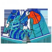 Pantalone Charlotte Hornets Mitchell & Ness Big Face Verde